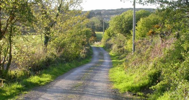 Apartamento Ravens Oak, West Cork Bantry Exterior foto